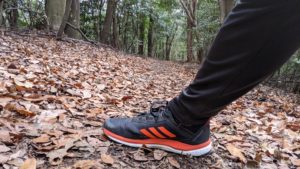 adidas Terrex シューズレビュー　テレックス アグラビック フロー / Terrex Agravic Flow