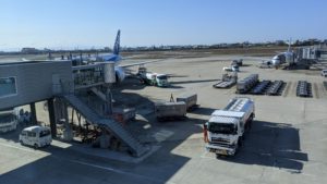 8か月ぶりの飛行機